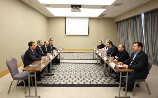 ADY sədri gürcüstanlı həmkarı ilə görüşüb