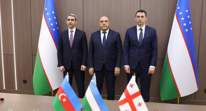 Avrasiya Nəqliyyat Marşrutuna maraq artır: Gürcüstan Beynəlxalq Assosiasiyaya qoşuldu