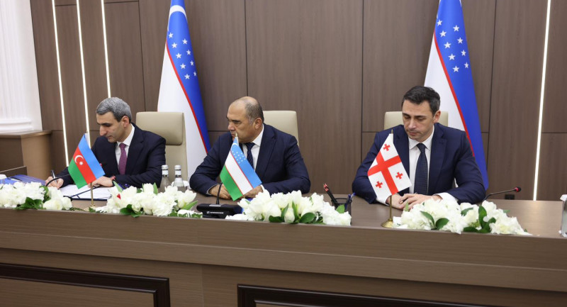 Avrasiya Nəqliyyat Marşrutuna maraq artır: Gürcüstan Beynəlxalq Assosiasiyaya qoşuldu